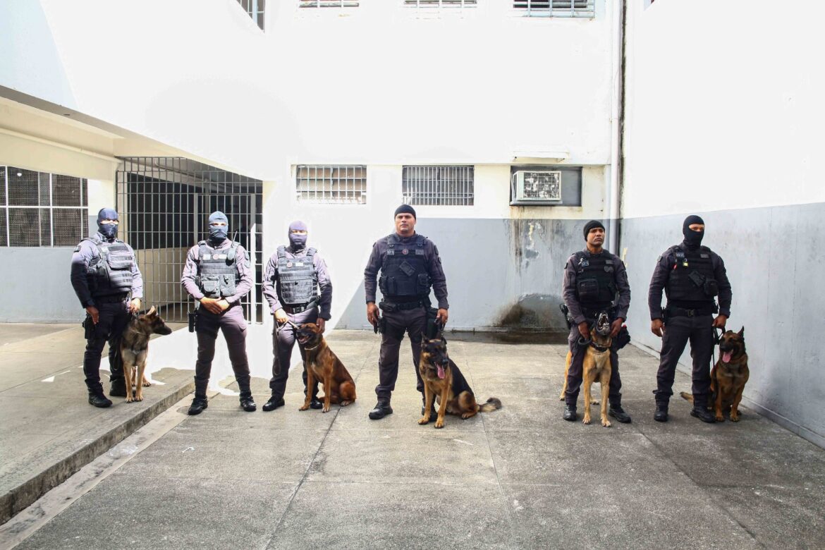 Fotos: Tiago Ciccarini